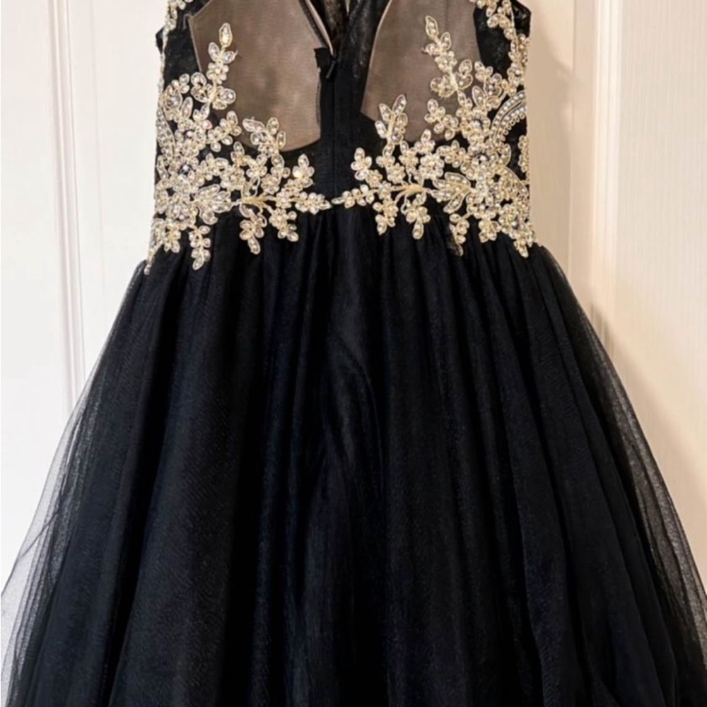 Gorgeous spring dance/prom dress short/ sequined bodice - Picture 3 of 9